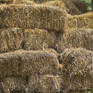 Meet your Posher, Koen's